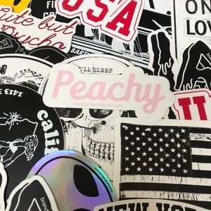 ✨ 30 Random Brandy Melville Sticker Bundle